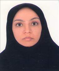 استاد سمیرا پایداری